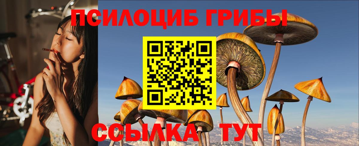 Псилоцибиновые грибы мухоморы Крымск