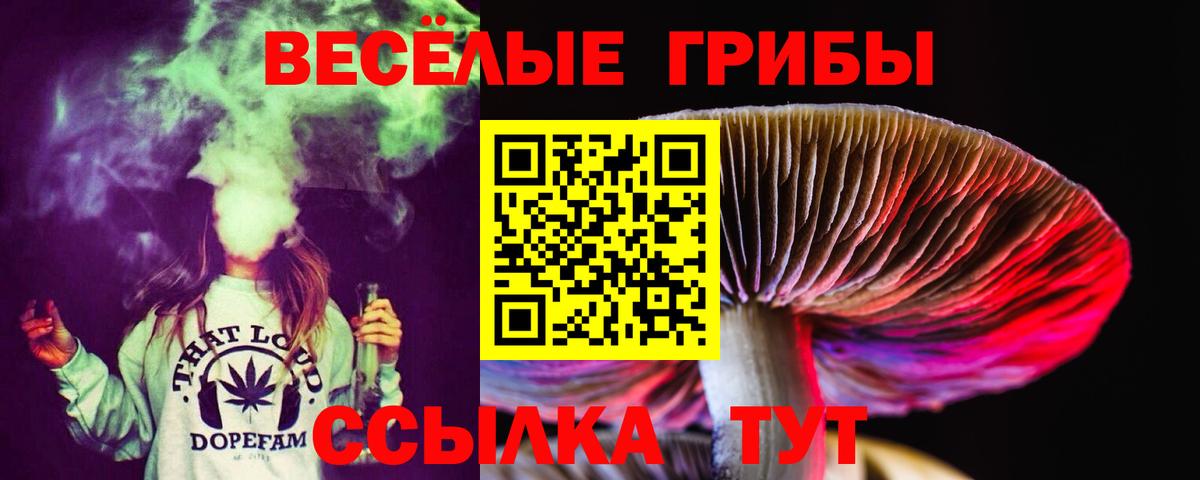 Псилоцибиновые грибы Magic Shrooms  наркота  Крымск  Галлюциногенные грибы мухоморы  Вход с VPN 